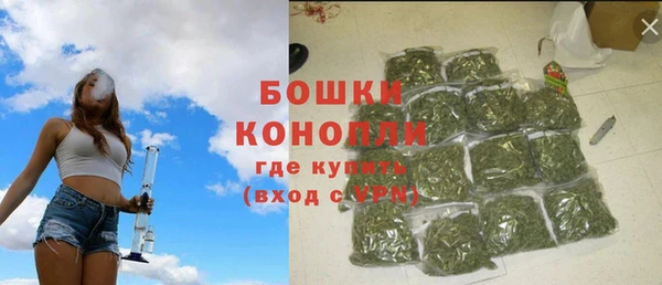 2c-b Бородино
