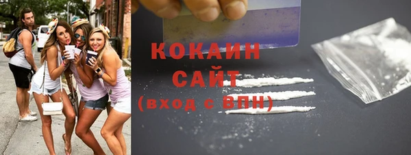 2c-b Бородино