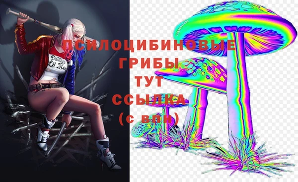2c-b Бородино