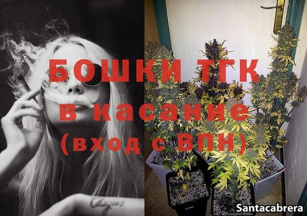 2c-b Бородино