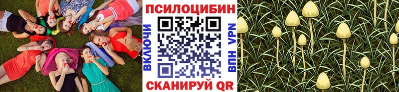 Галлюциногенные грибы Psilocybe  закладка  Иркутск 